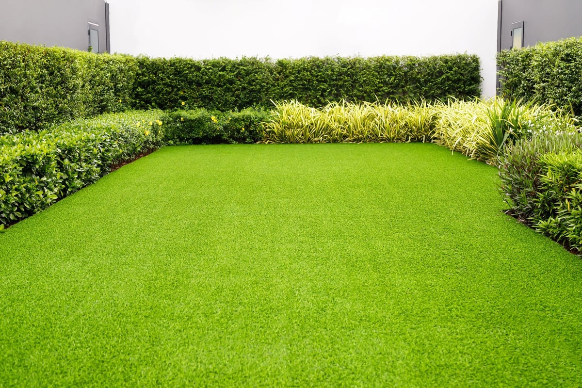 Grass field meadow green on the garden front of the house