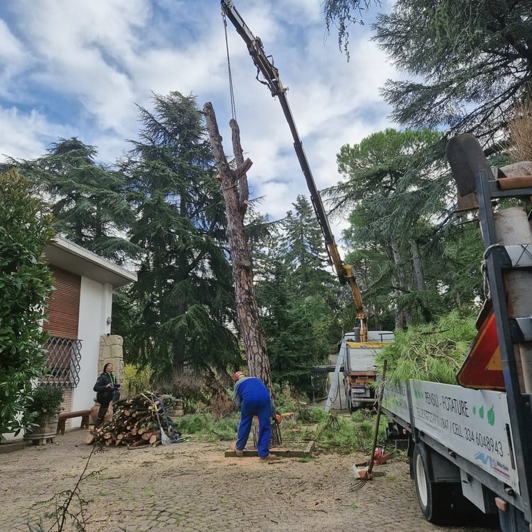 Worker in blue operating crane to fell large tree in residential area with truck and house visible