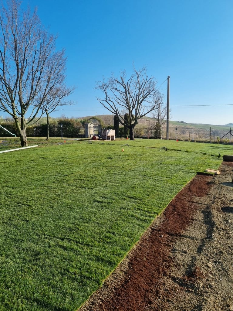 Rural landscape with green lawn, bare trees, distant house, and rolling hills under clear blue sky