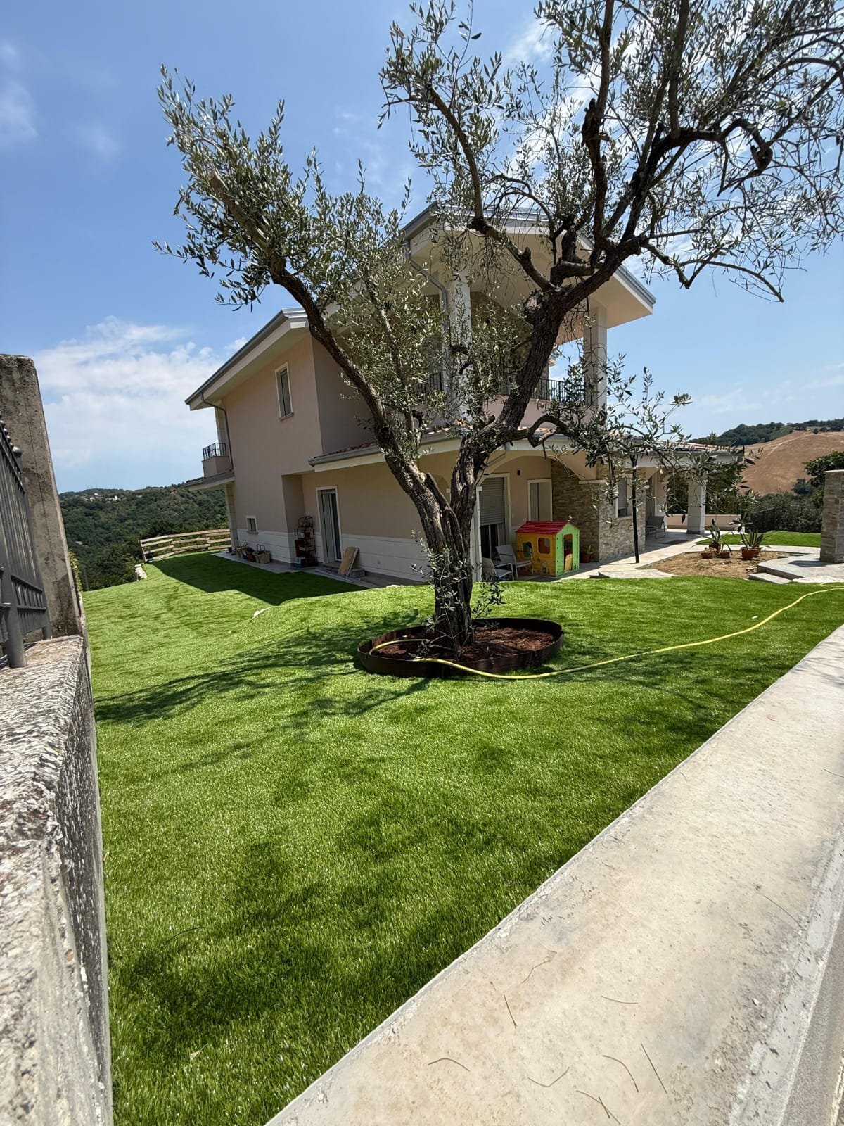 Tuscan villa with manicured green lawn, mature olive tree, and stone pathway under clear blue sky