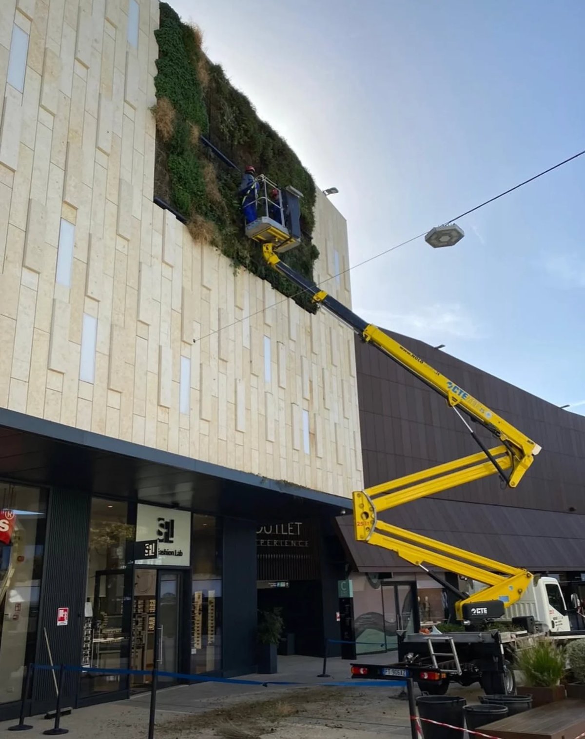 Green living wall