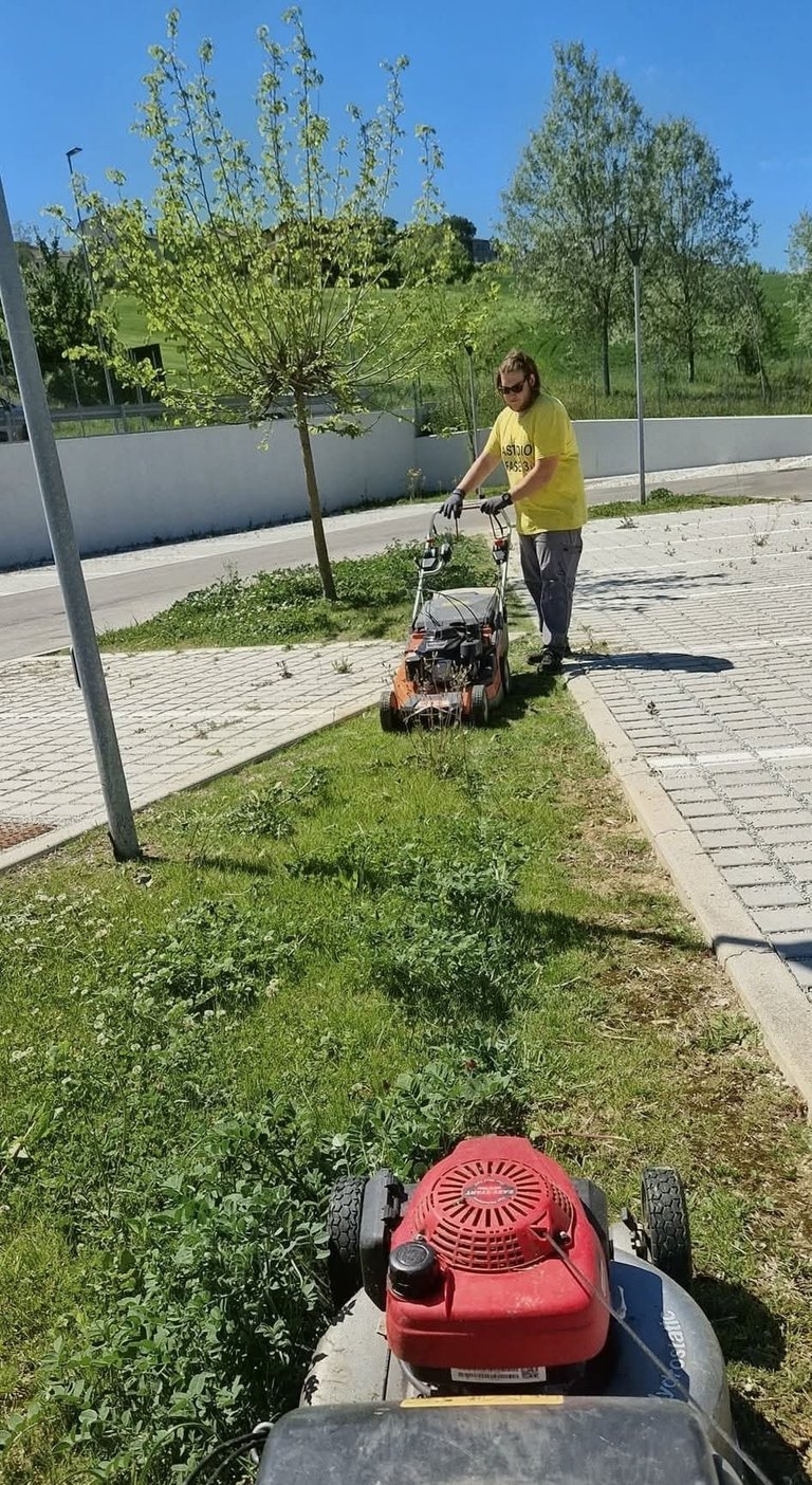Person in yellow shirt operating a red lawn mower along a grassy path in a sunny park setting with trees and white fence in background