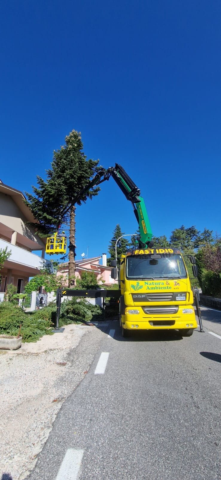 Camion giallo con braccio gru