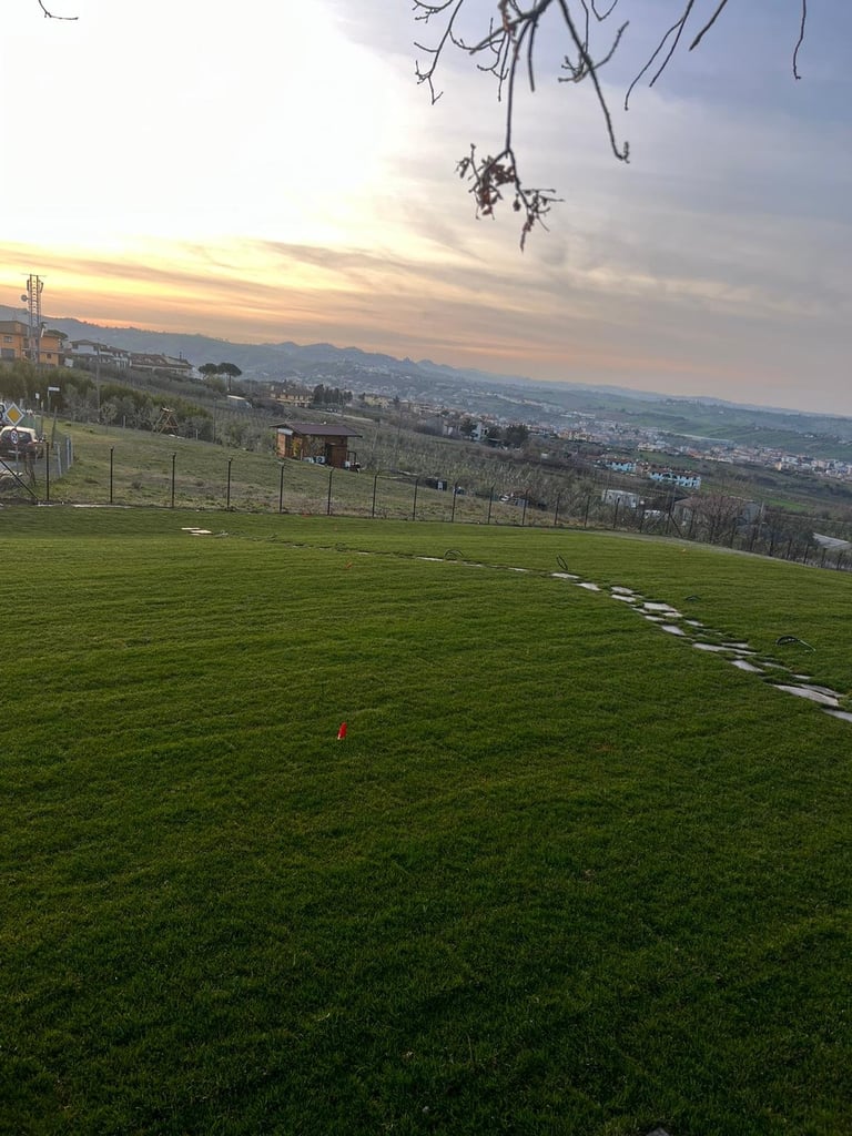 Rolling green pasture with tree branch overhead, fenced field in background, and valley town visible at sunset