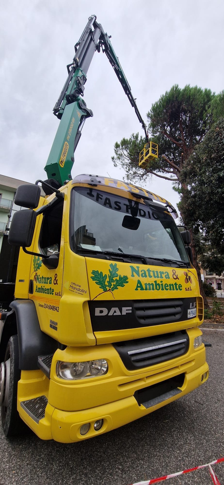 Yellow DAF truck with extended hydraulic arm and grapple attachment for tree trimming, company name Natura & Ambiente visible on cab