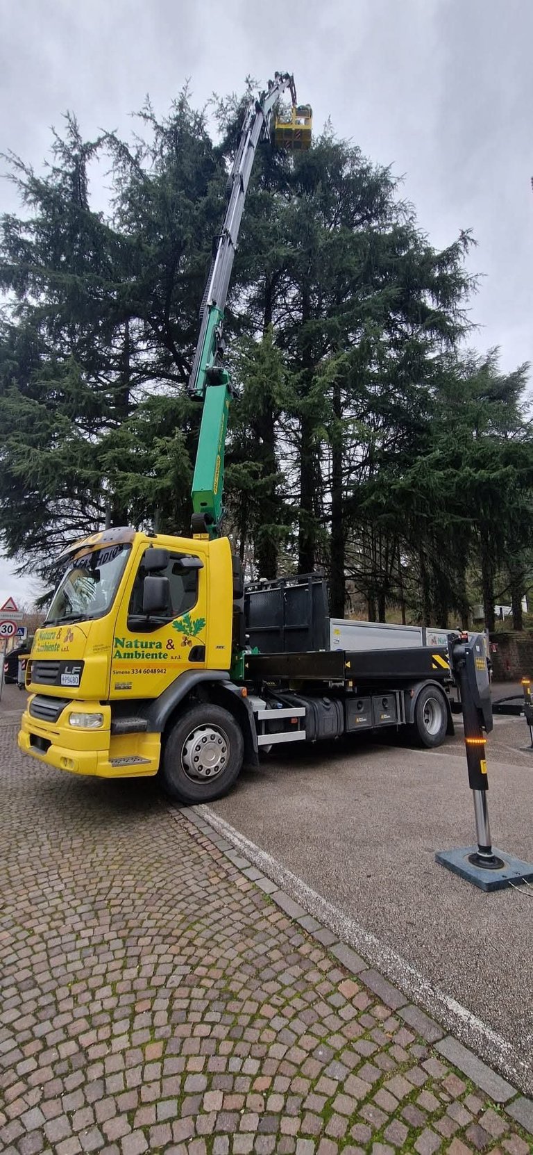 Camion giallo con cestello elevatore che raggiunge alberi alti per potatura